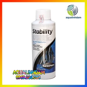 Stability 4 8