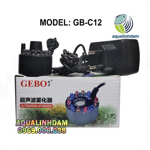 Gb C12 3