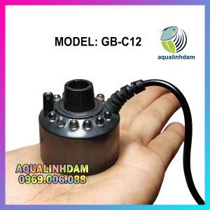 Gb C12 5