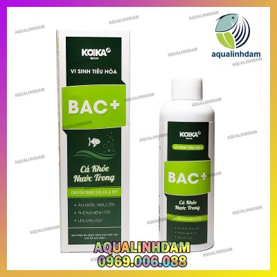 Baccong 1
