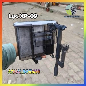 Loc Xp09 1