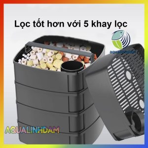 Xwa 8