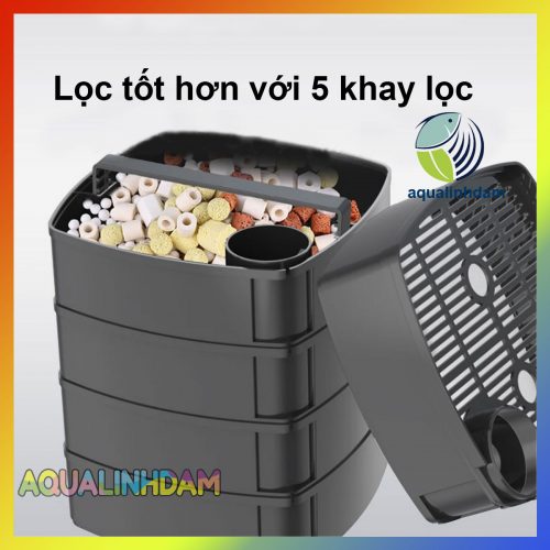 Xwa 8