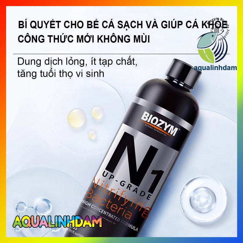 N1 2