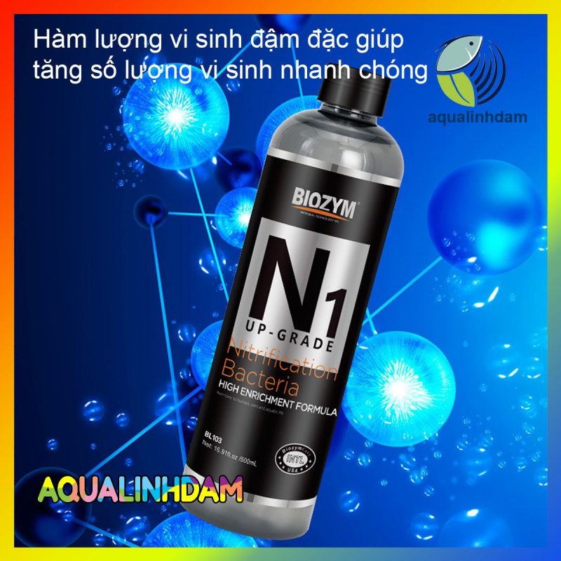 N1 3