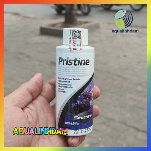 Pristine 2