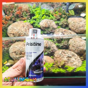 Pristine 3