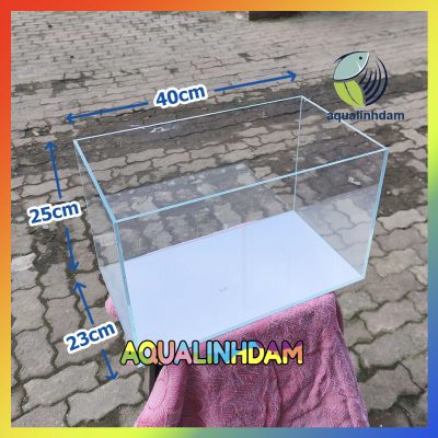 Sieutrong40 17