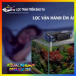 Loctran Baoyu 1