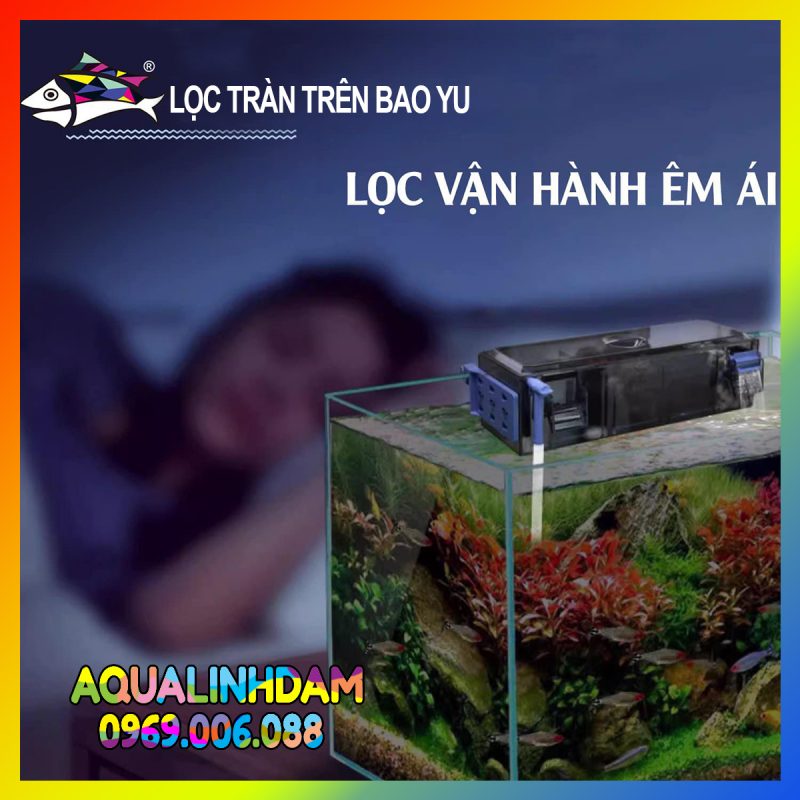 Loctran Baoyu 1