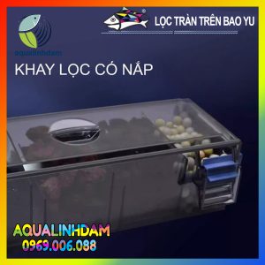 Loctran Baoyu 3