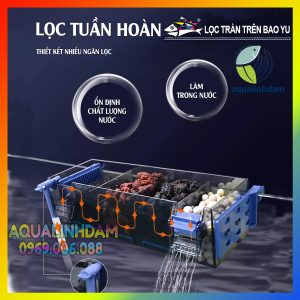 Loctran Baoyu 6