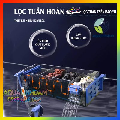 Loctran Baoyu 6