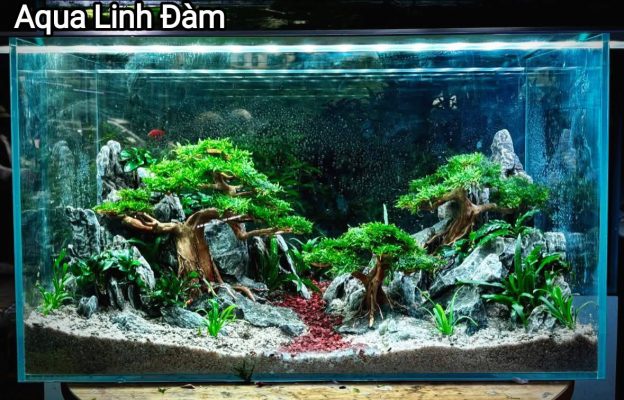 561180393 1241770541307561 5433714733008928490 N