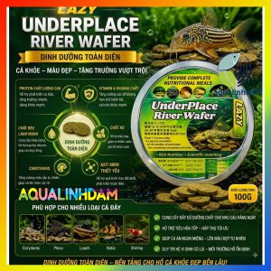 Underwafer 8