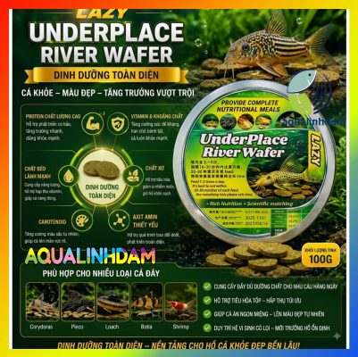 Underwafer 8